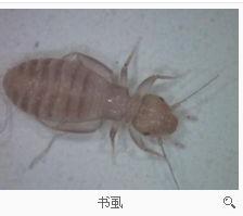 游戏专题 第58页