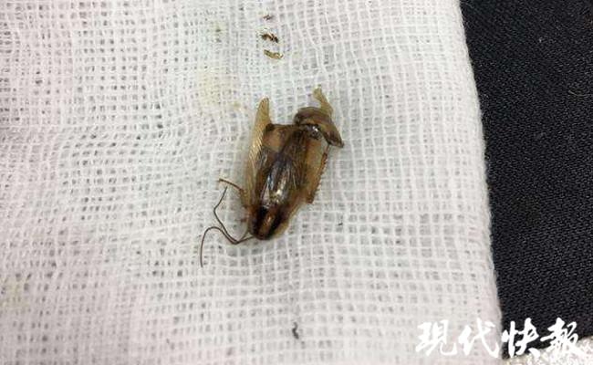 娱乐生活 第54页