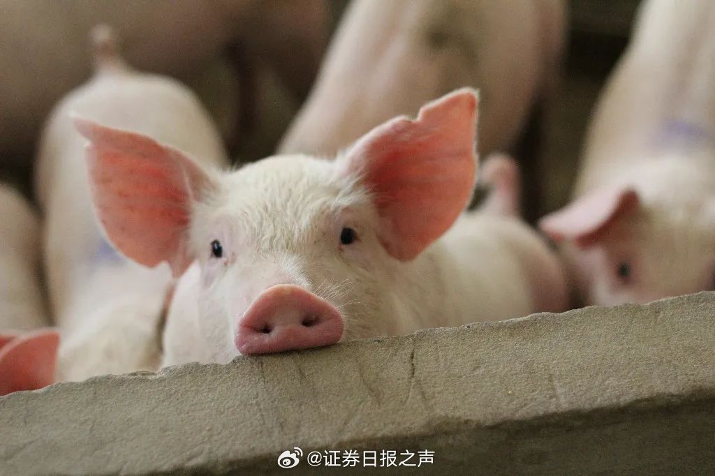 娱乐生活 第43页